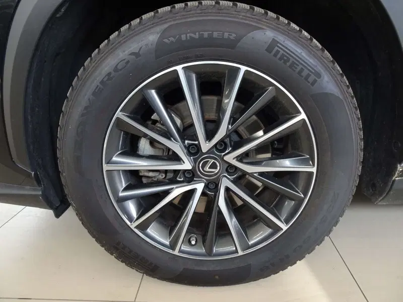 Lexus NX usata a Venezia (6)