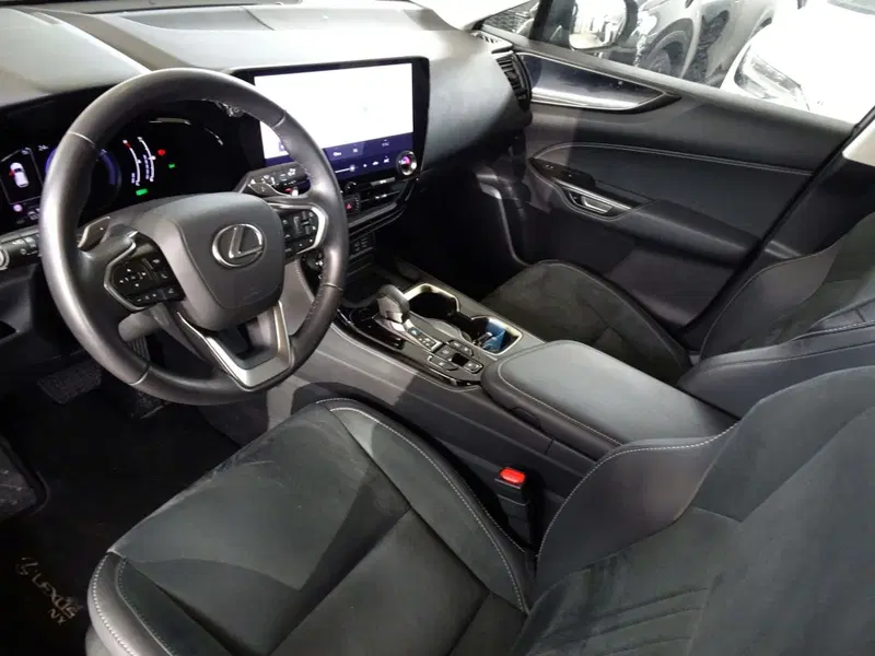 Lexus NX usata a Venezia (7)