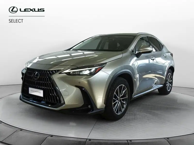 Lexus NX usata a Venezia