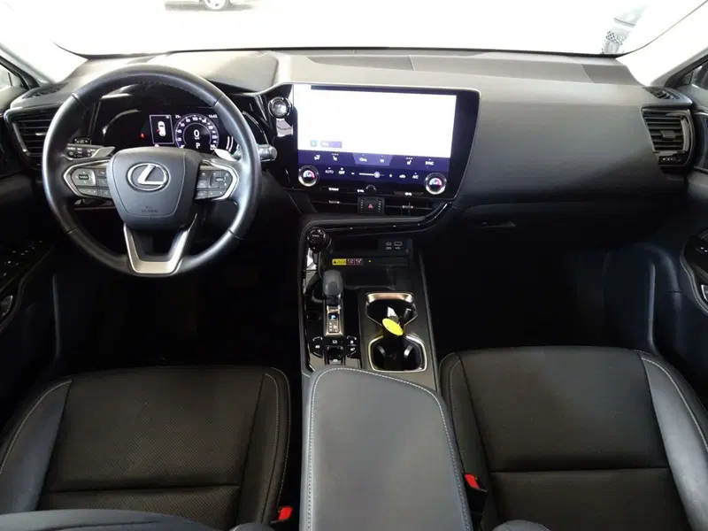 Lexus NX usata a Venezia (11)