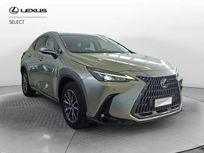 Lexus NX usata a Venezia (2)