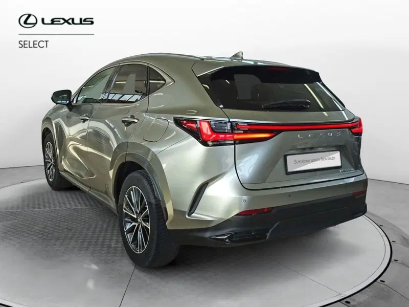 Lexus NX usata a Venezia (4)