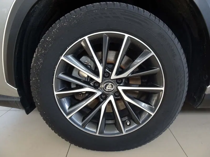 Lexus NX usata a Venezia (6)
