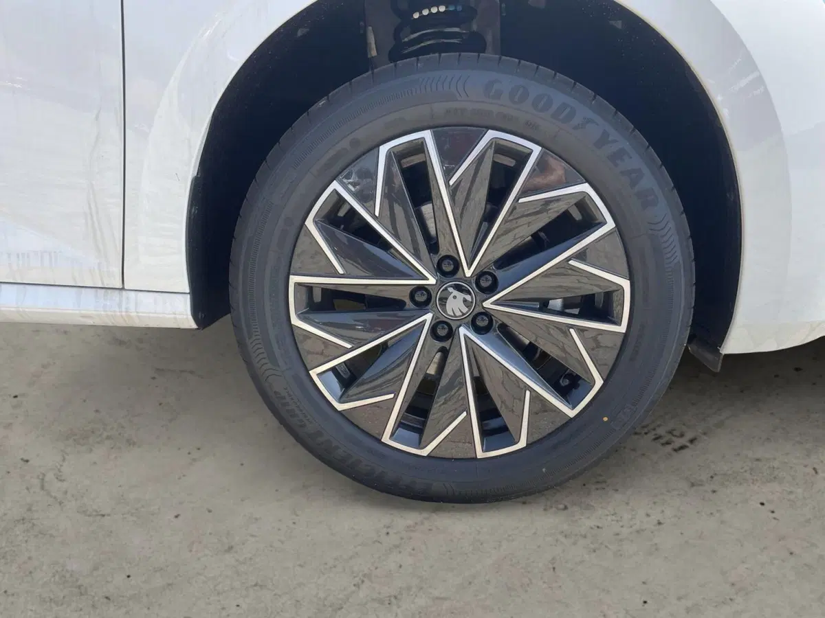 Skoda Kamiq nuova a Prato (16)