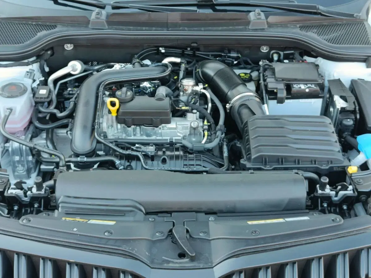 Skoda Kamiq nuova a Prato (14)