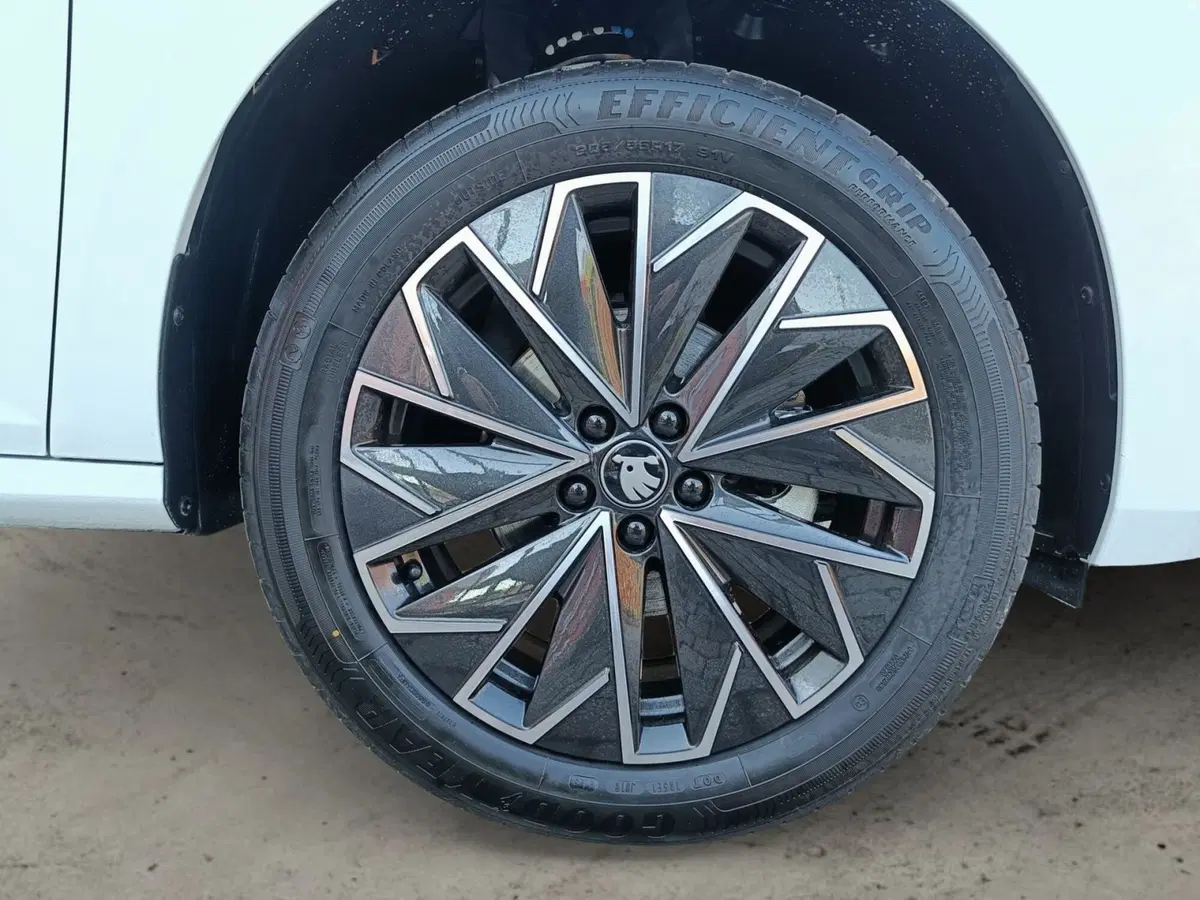 Skoda Kamiq nuova a Prato (15)