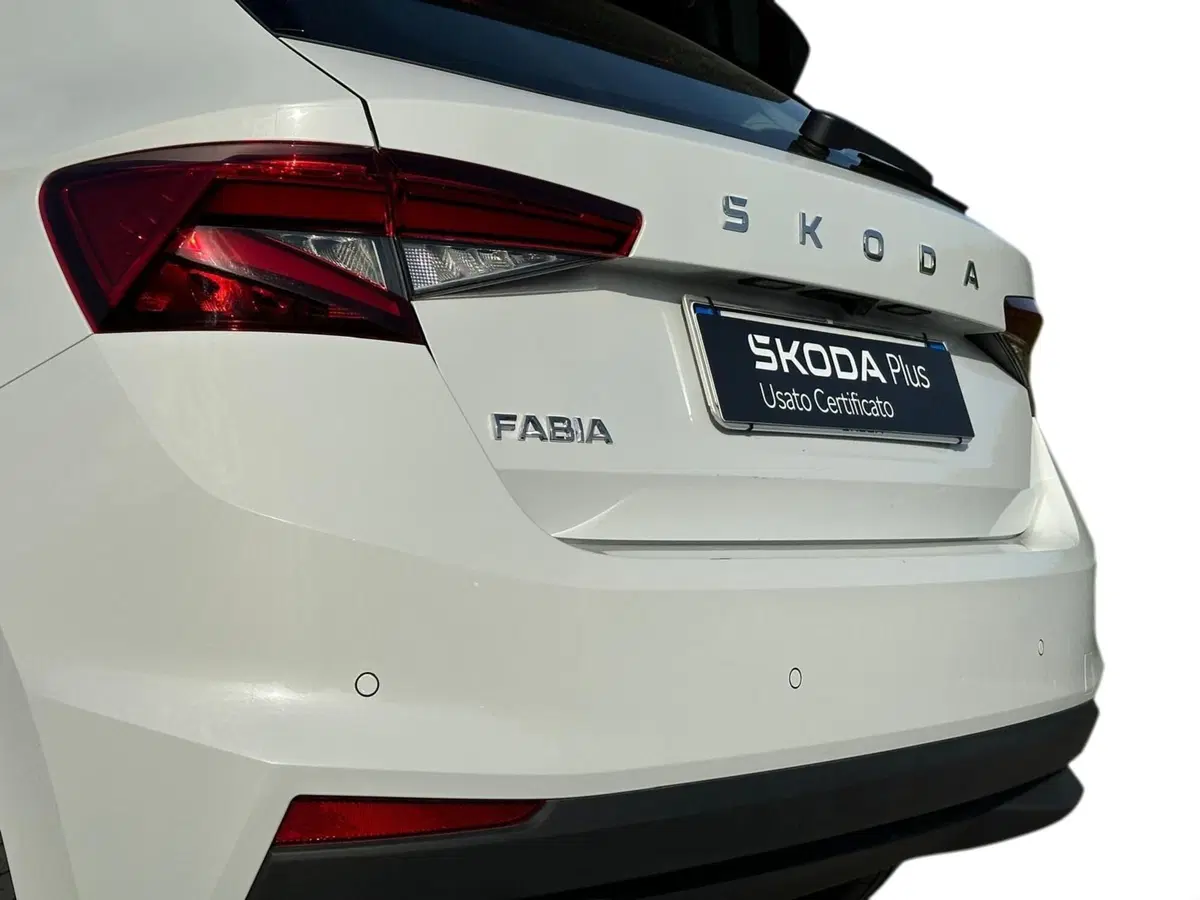 Skoda Fabia usata a Prato (15)