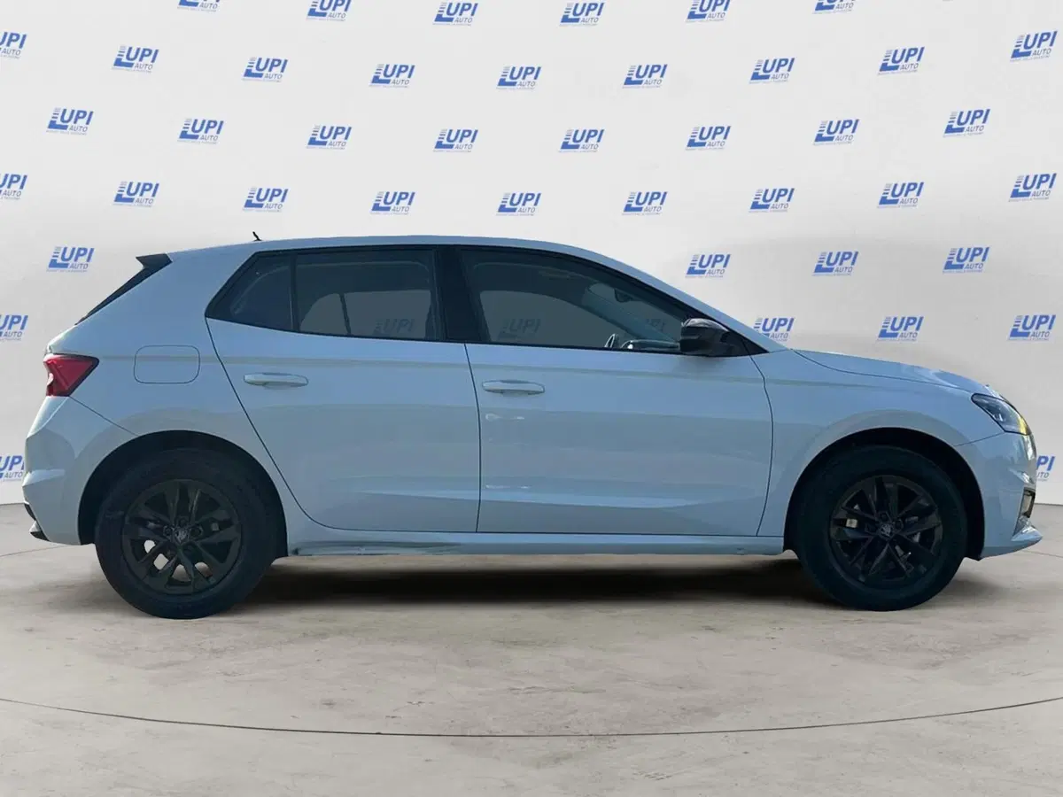 Skoda Fabia usata a Prato (3)