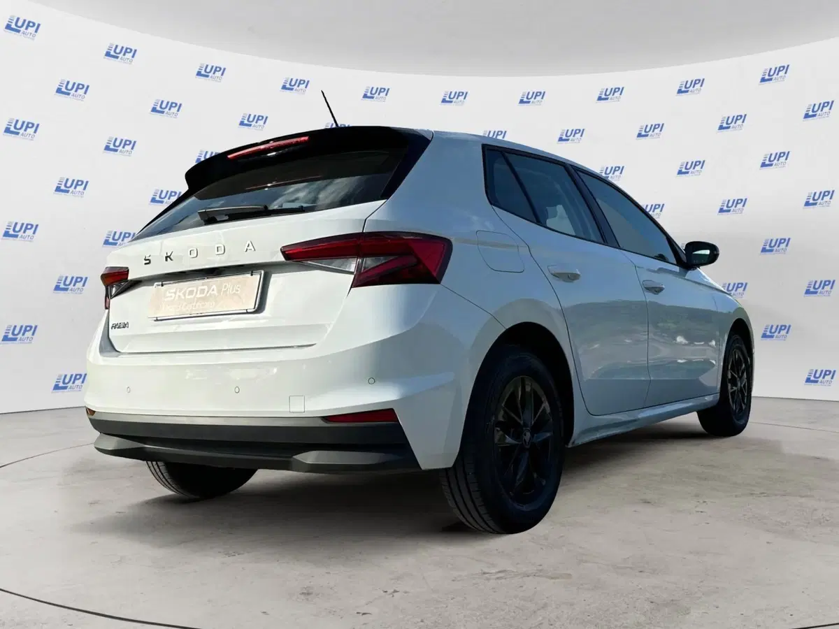 Skoda Fabia usata a Prato (5)
