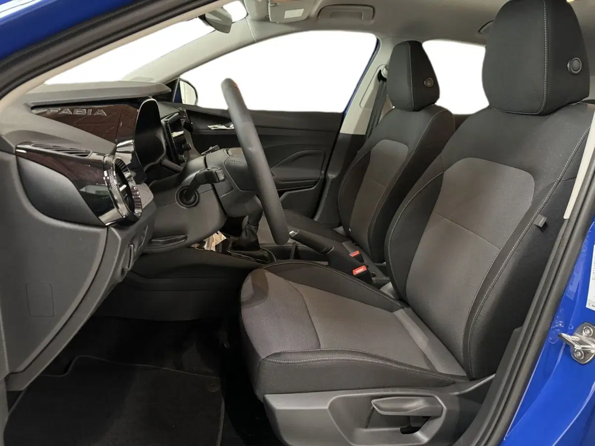 Skoda Fabia nuova a Prato (16)