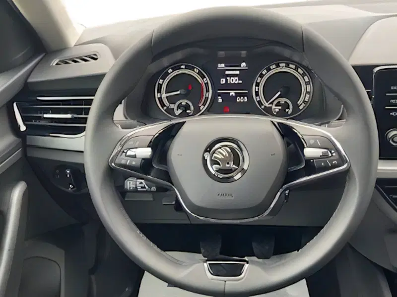 Skoda Scala usata a Pistoia (13)