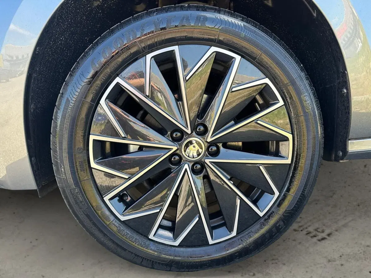 Skoda Kamiq nuova a Pistoia (15)