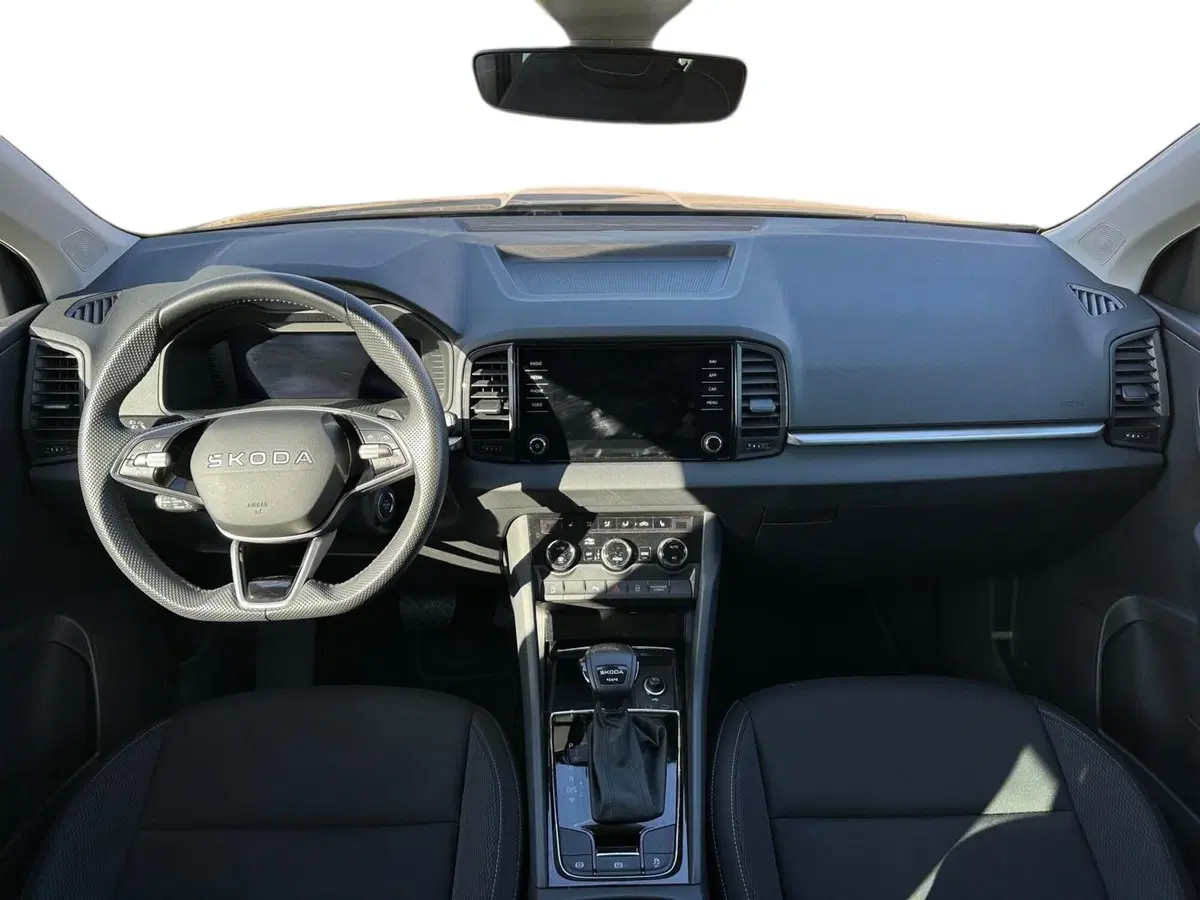 Skoda Karoq usata a Pistoia (9)