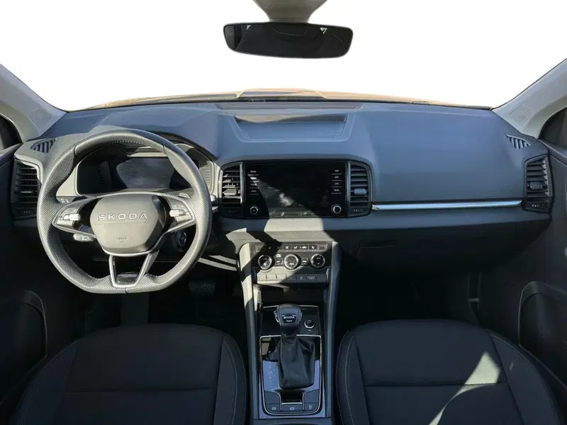Skoda Karoq usata a Pistoia (9)