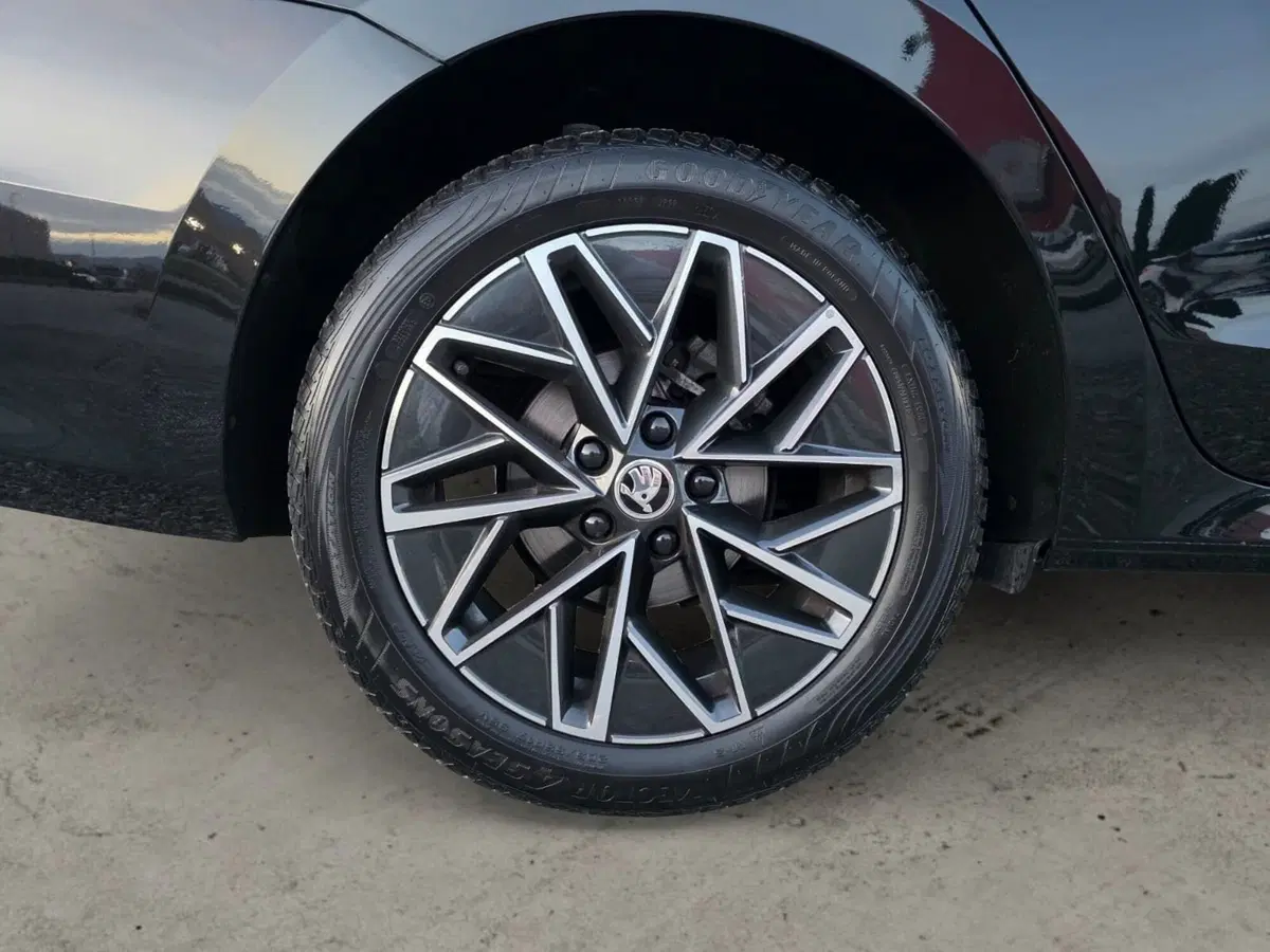 Skoda Octavia Station Wagon usata a Pistoia (14)