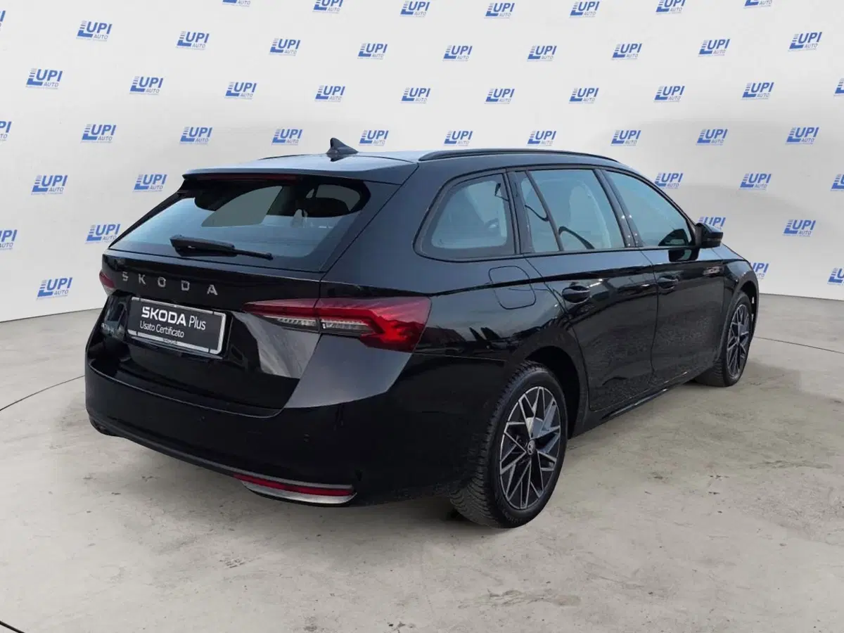 Skoda Octavia Station Wagon usata a Pistoia (4)