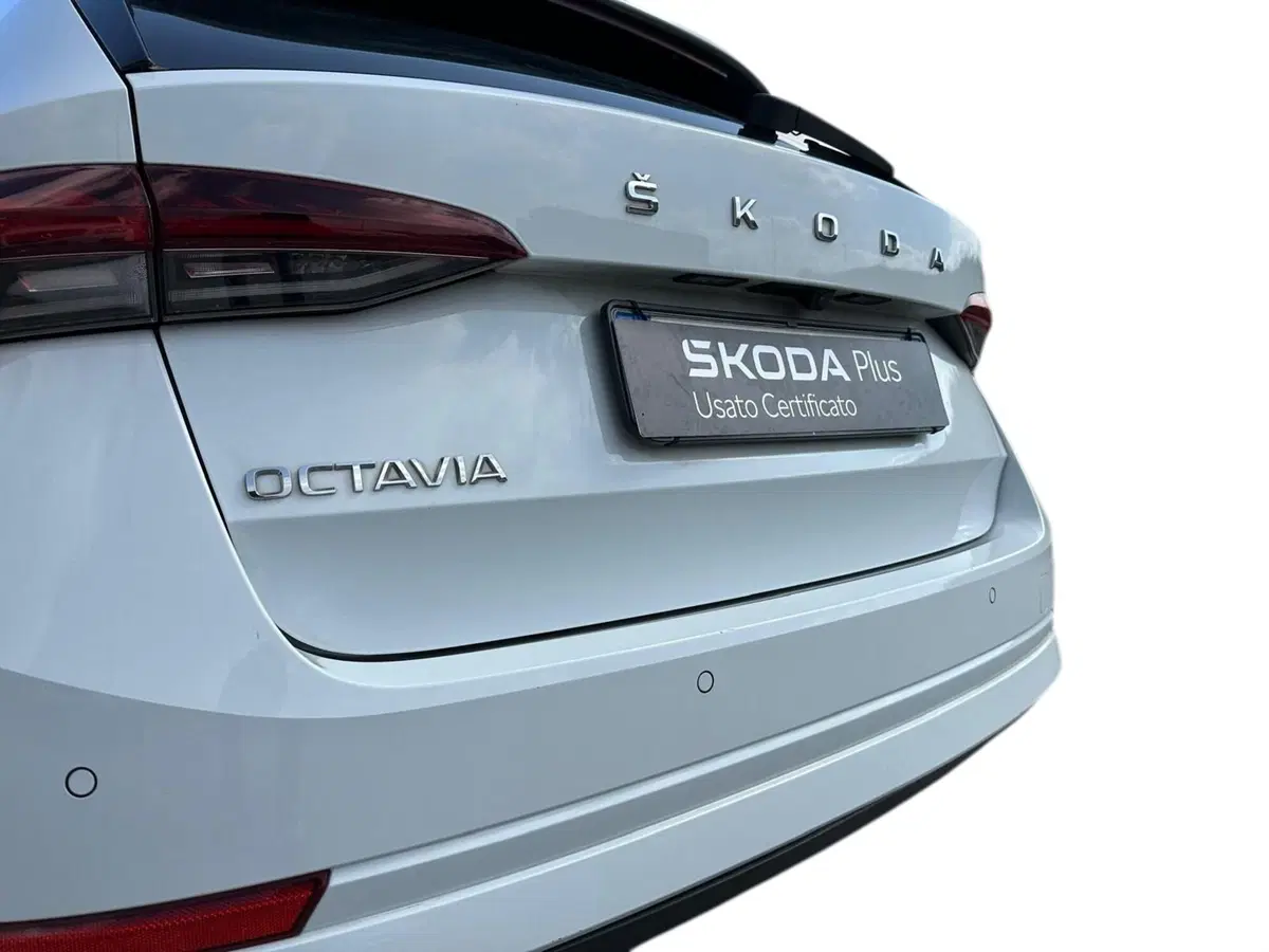 Skoda Octavia Station Wagon usata a Pistoia (16)