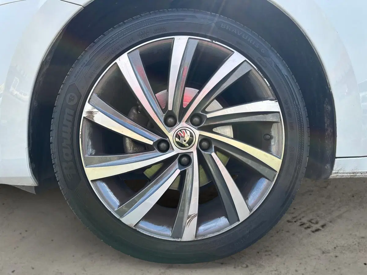 Skoda Octavia Station Wagon usata a Pistoia (17)