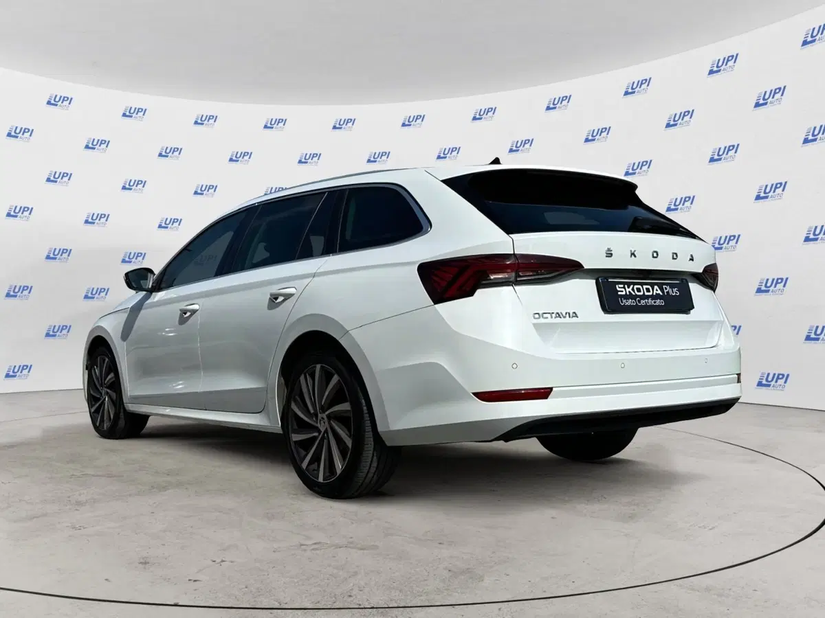 Skoda Octavia Station Wagon usata a Pistoia (4)