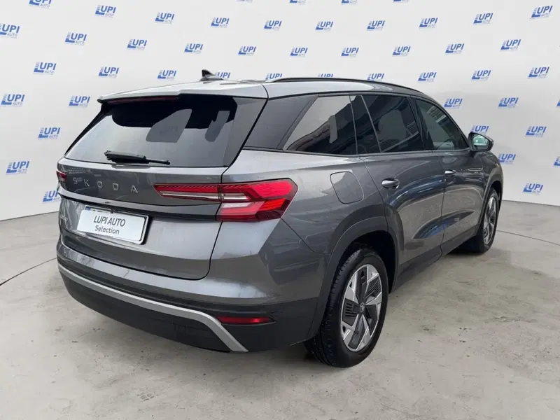 Skoda Kodiaq usata a Pistoia (2)