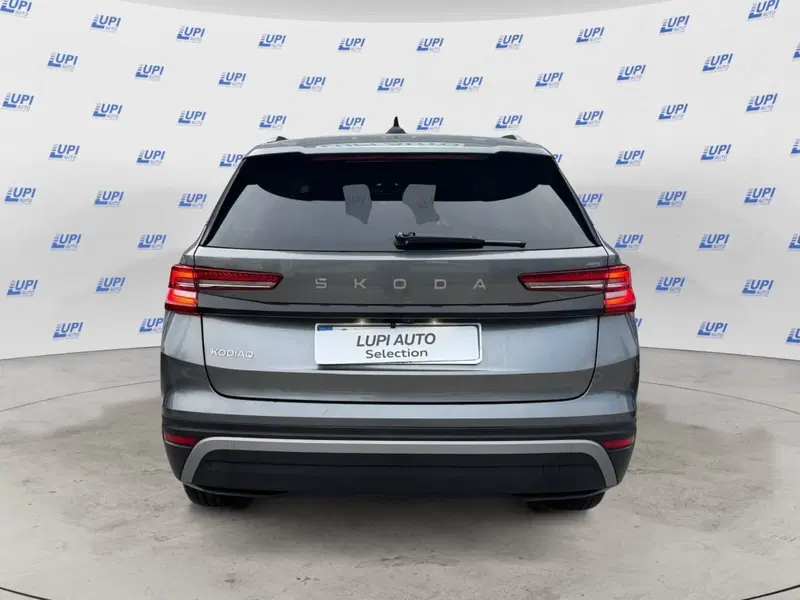 Skoda Kodiaq usata a Pistoia (3)