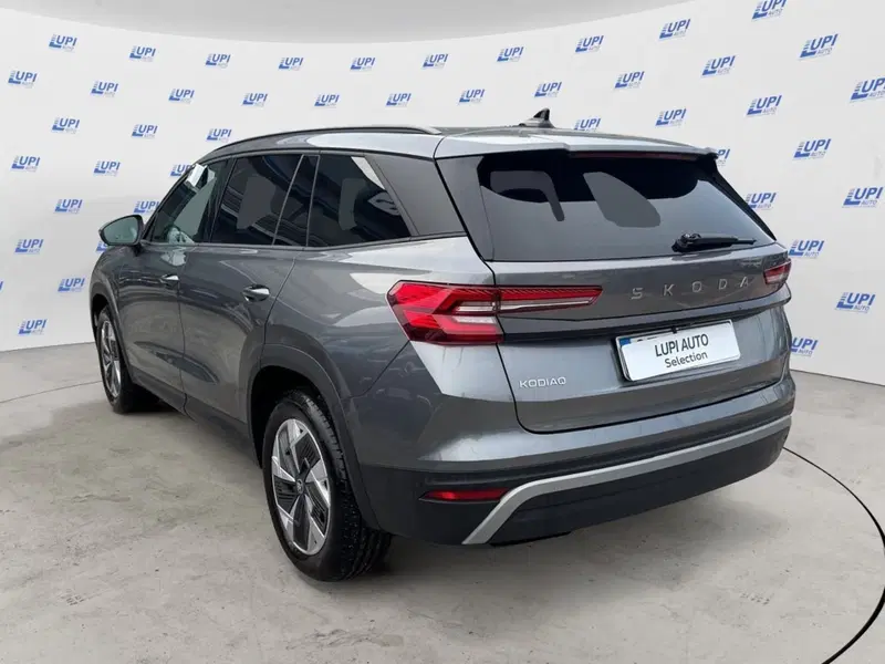 Skoda Kodiaq usata a Pistoia (6)