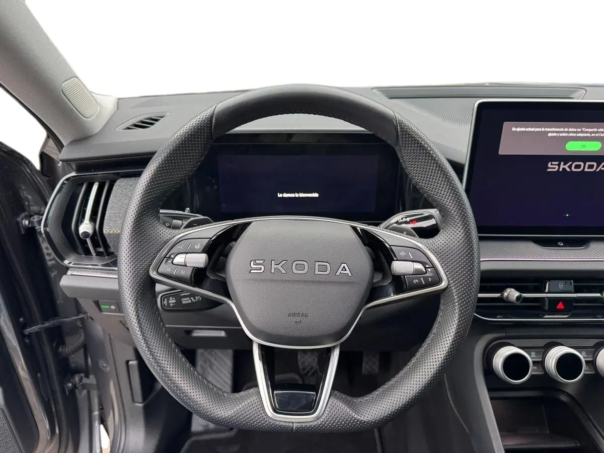 Skoda Kodiaq usata a Pistoia (7)