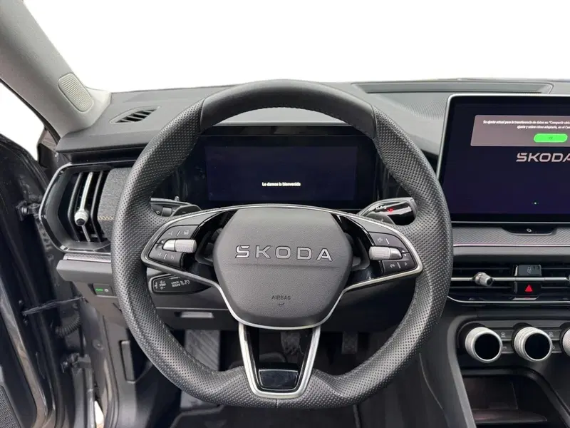 Skoda Kodiaq usata a Pistoia (7)