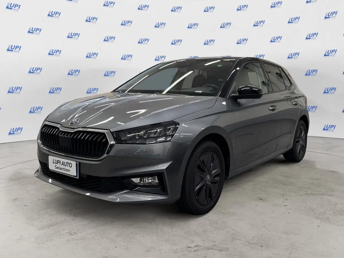 Skoda Fabia usata a Pistoia