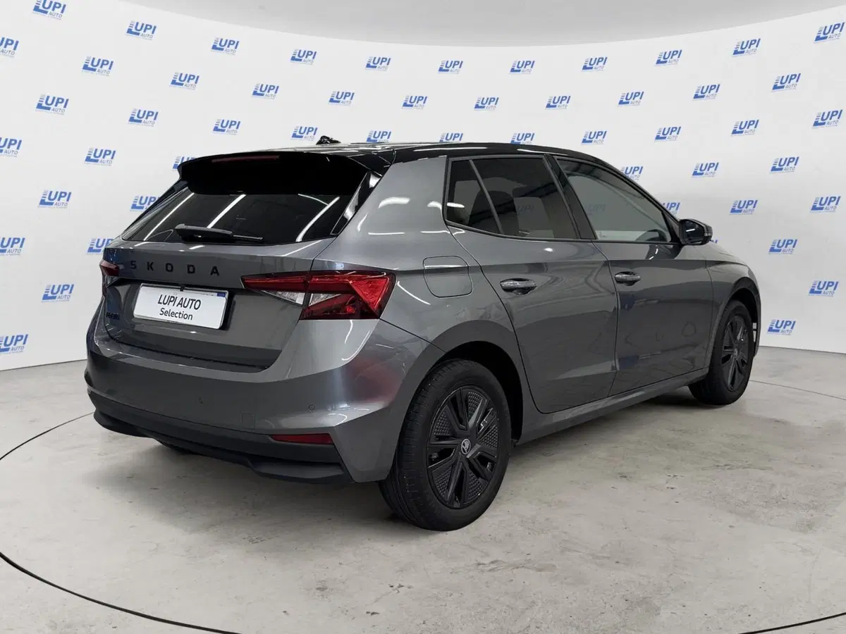 Skoda Fabia usata a Pistoia (3)