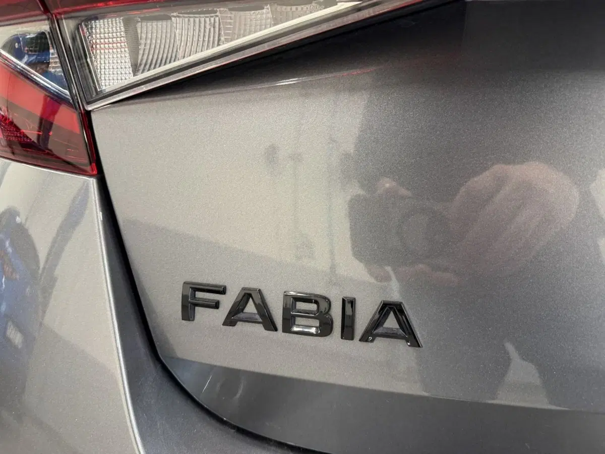 Skoda Fabia usata a Pistoia (6)