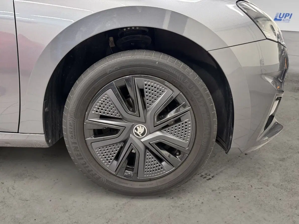 Skoda Fabia usata a Pistoia (7)