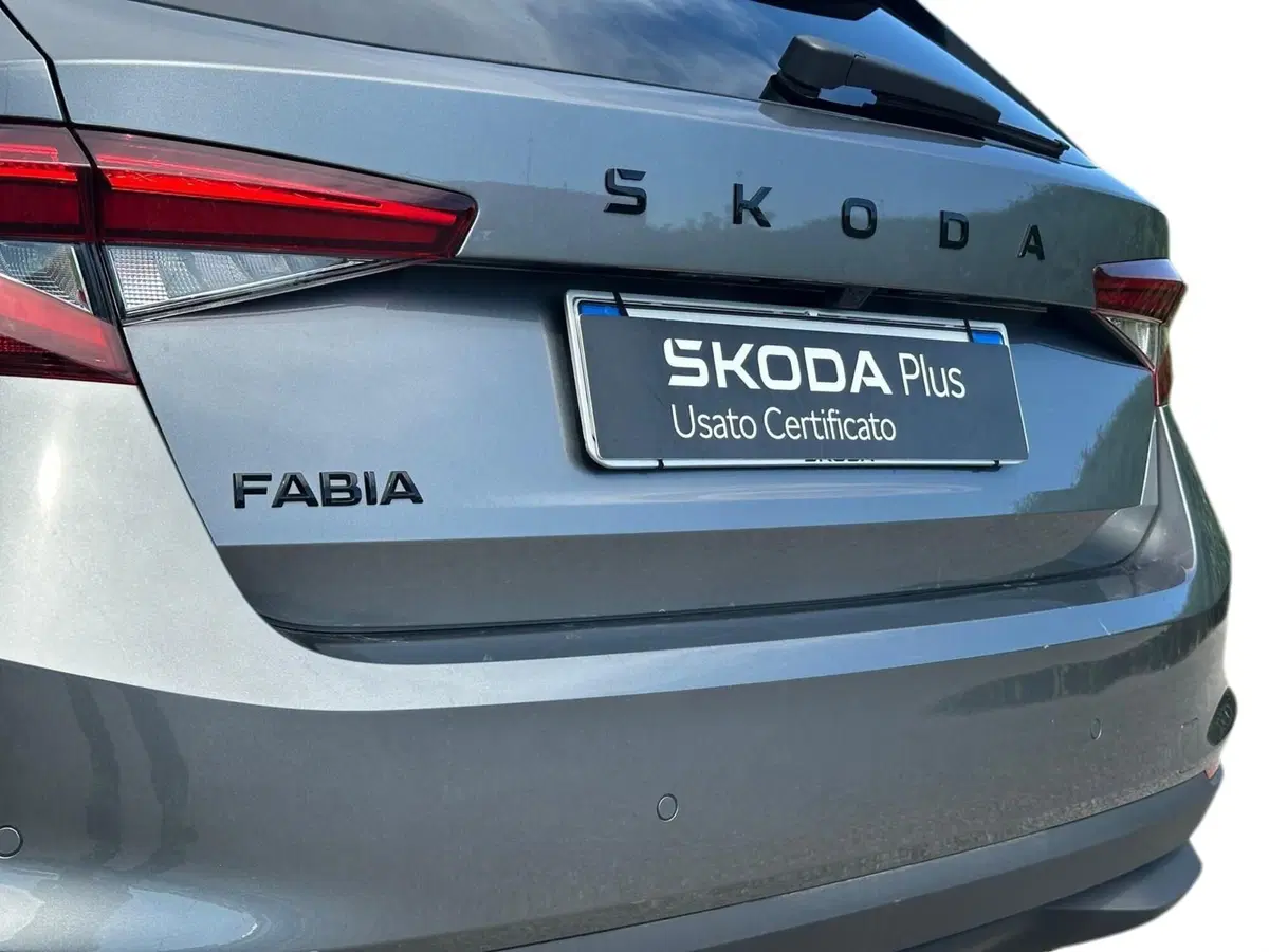 Skoda Fabia usata a Pistoia (14)