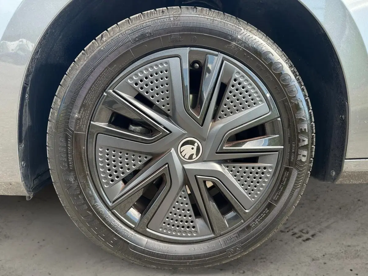 Skoda Fabia usata a Pistoia (15)