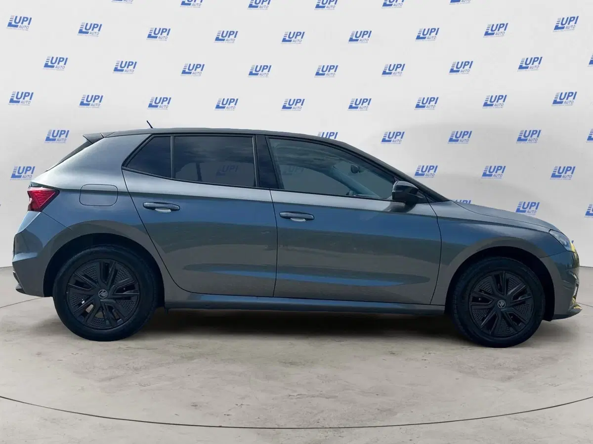 Skoda Fabia usata a Pistoia (3)