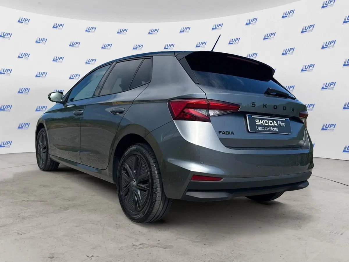 Skoda Fabia usata a Pistoia (5)
