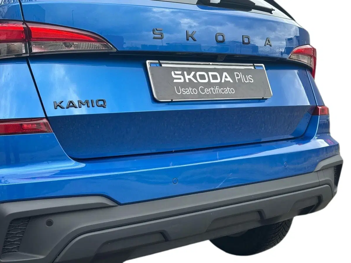 Skoda Kamiq usata a Pistoia (14)