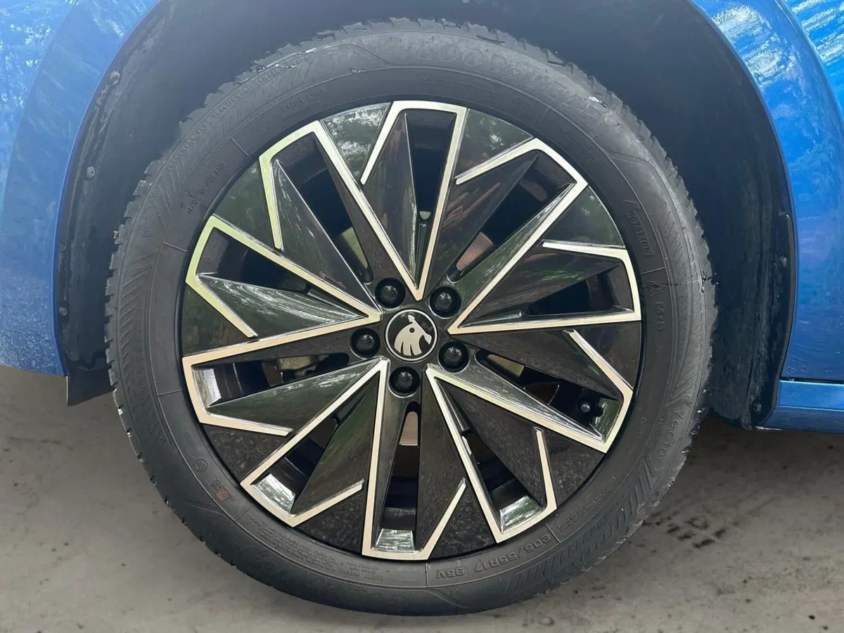 Skoda Kamiq usata a Pistoia (15)