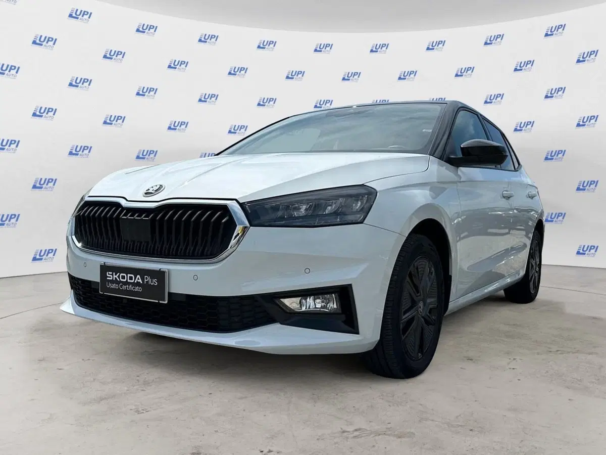 Skoda Fabia usata a Pistoia