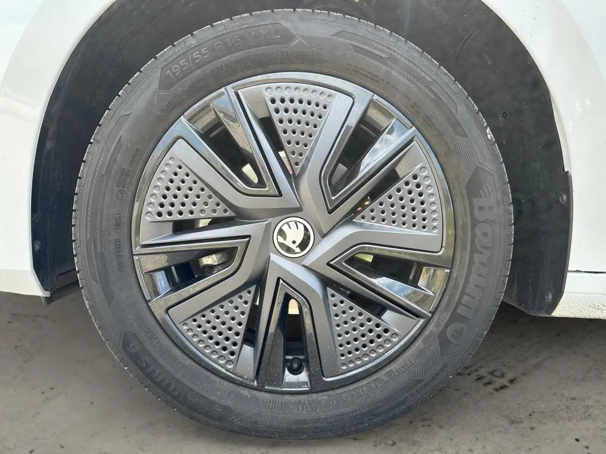 Skoda Fabia usata a Pistoia (12)