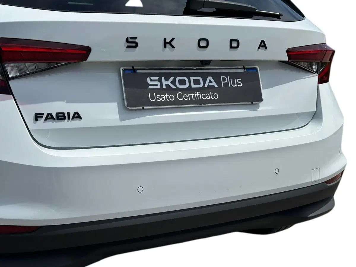 Skoda Fabia usata a Pistoia (14)