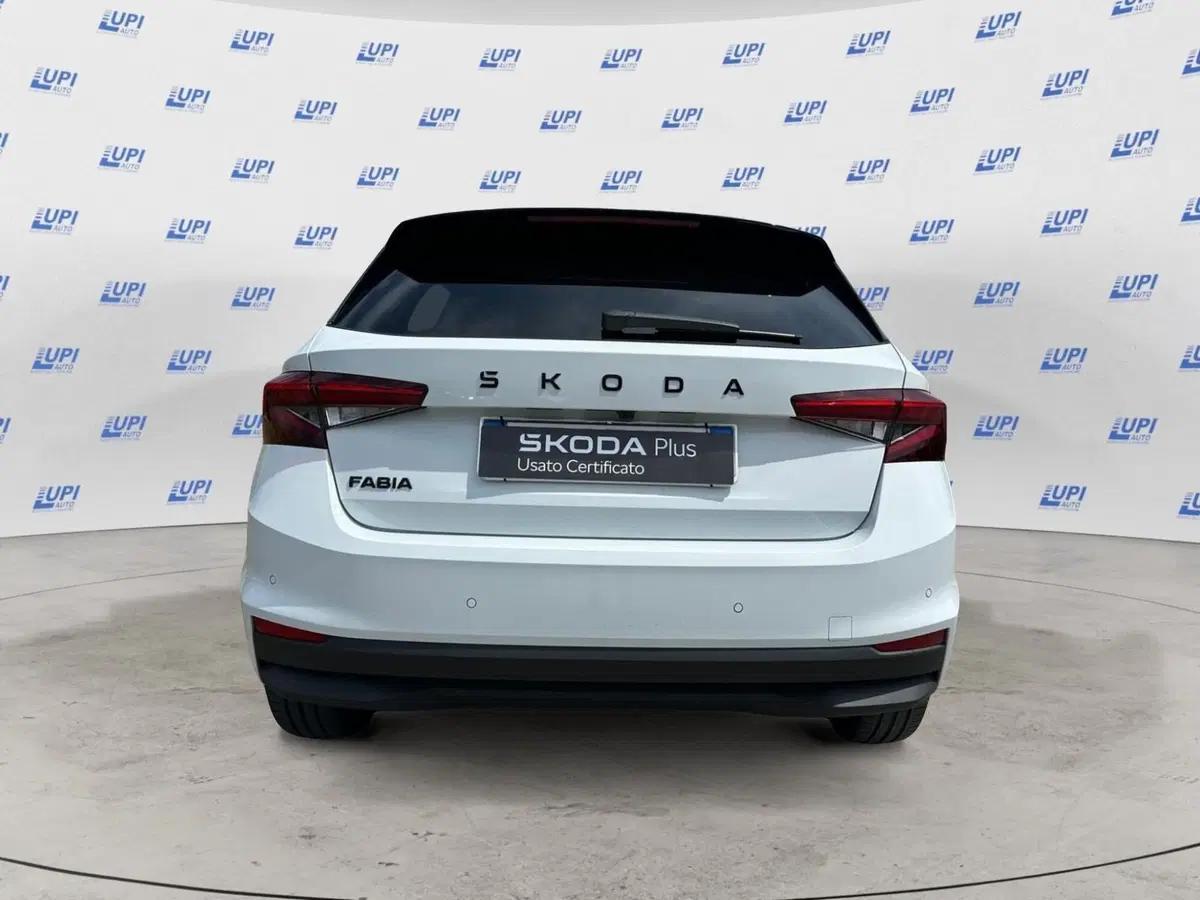 Skoda Fabia usata a Pistoia (2)
