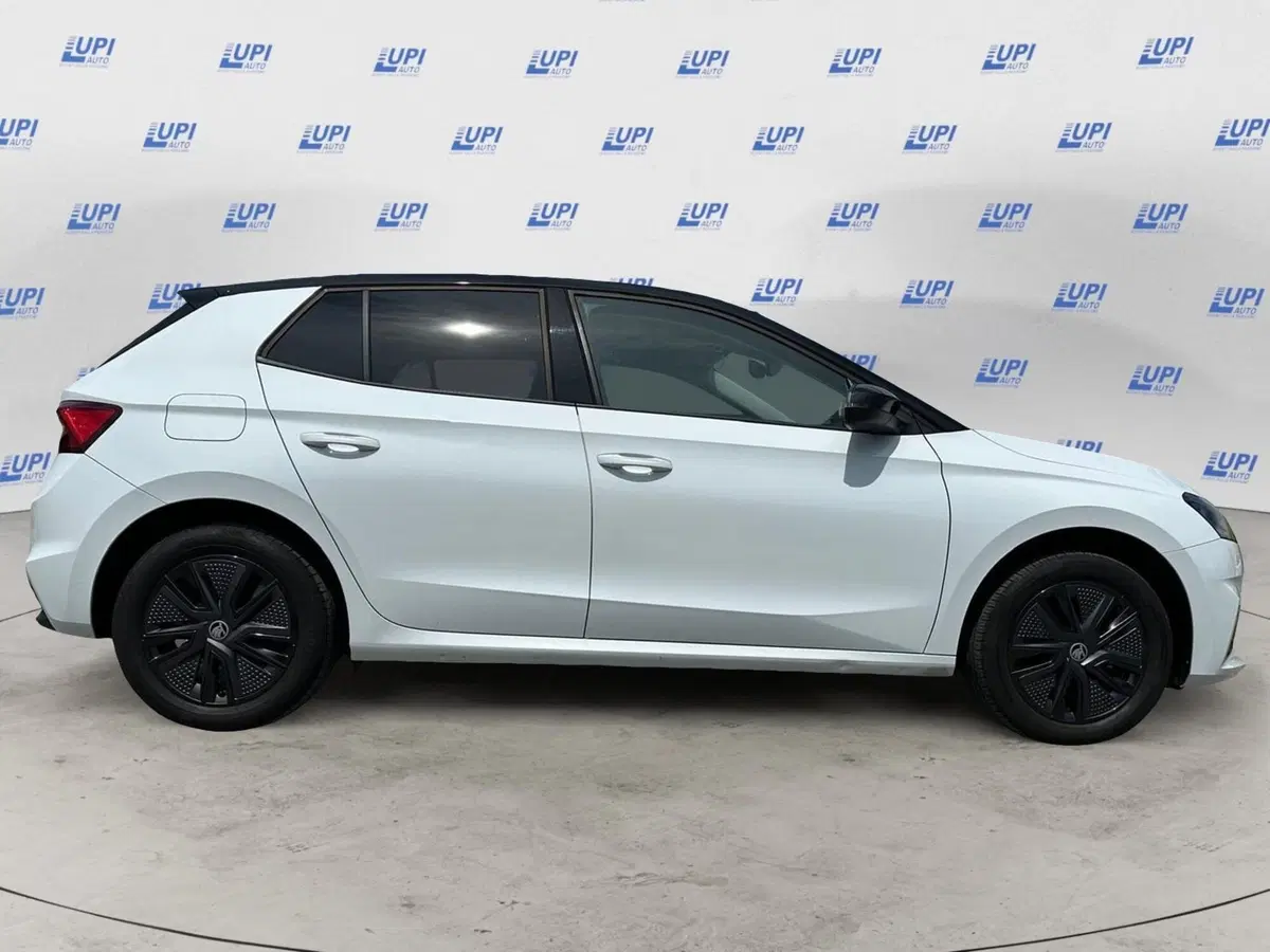 Skoda Fabia usata a Pistoia (3)