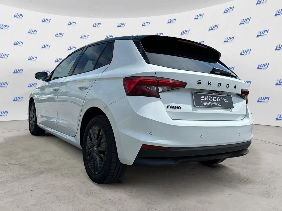 Skoda Fabia usata a Pistoia (4)