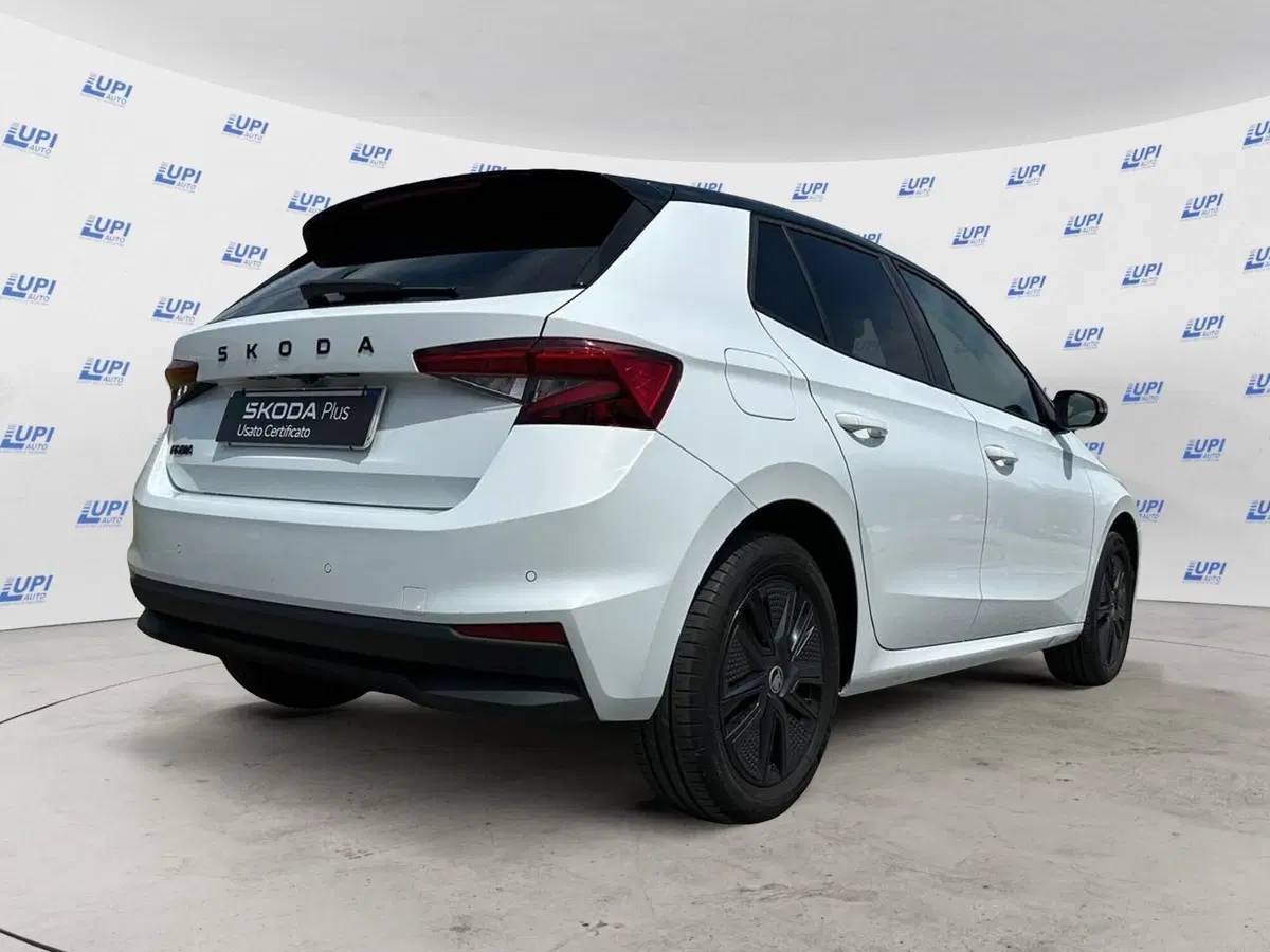 Skoda Fabia usata a Pistoia (5)