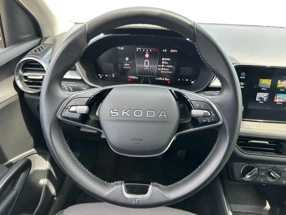 Skoda Fabia usata a Pistoia (6)