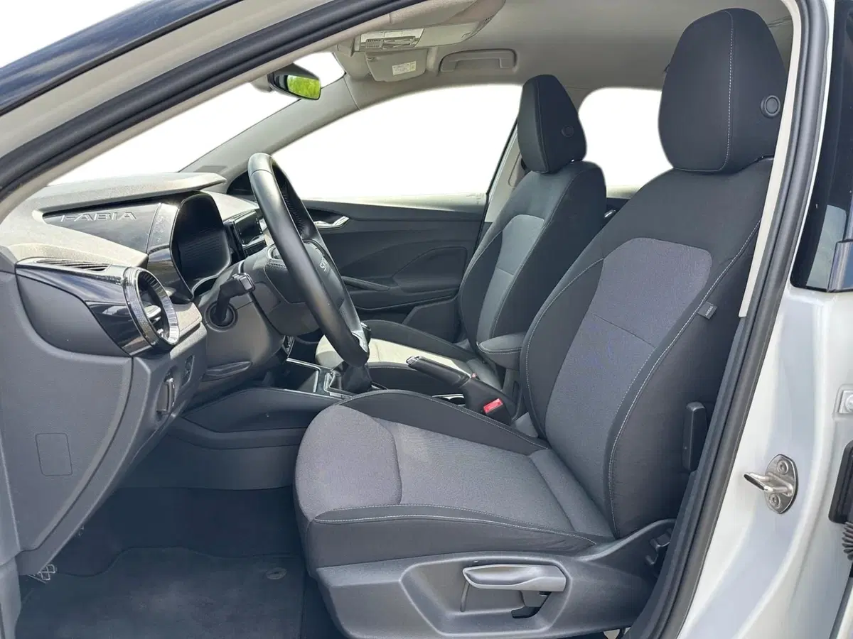 Skoda Fabia usata a Pistoia (8)