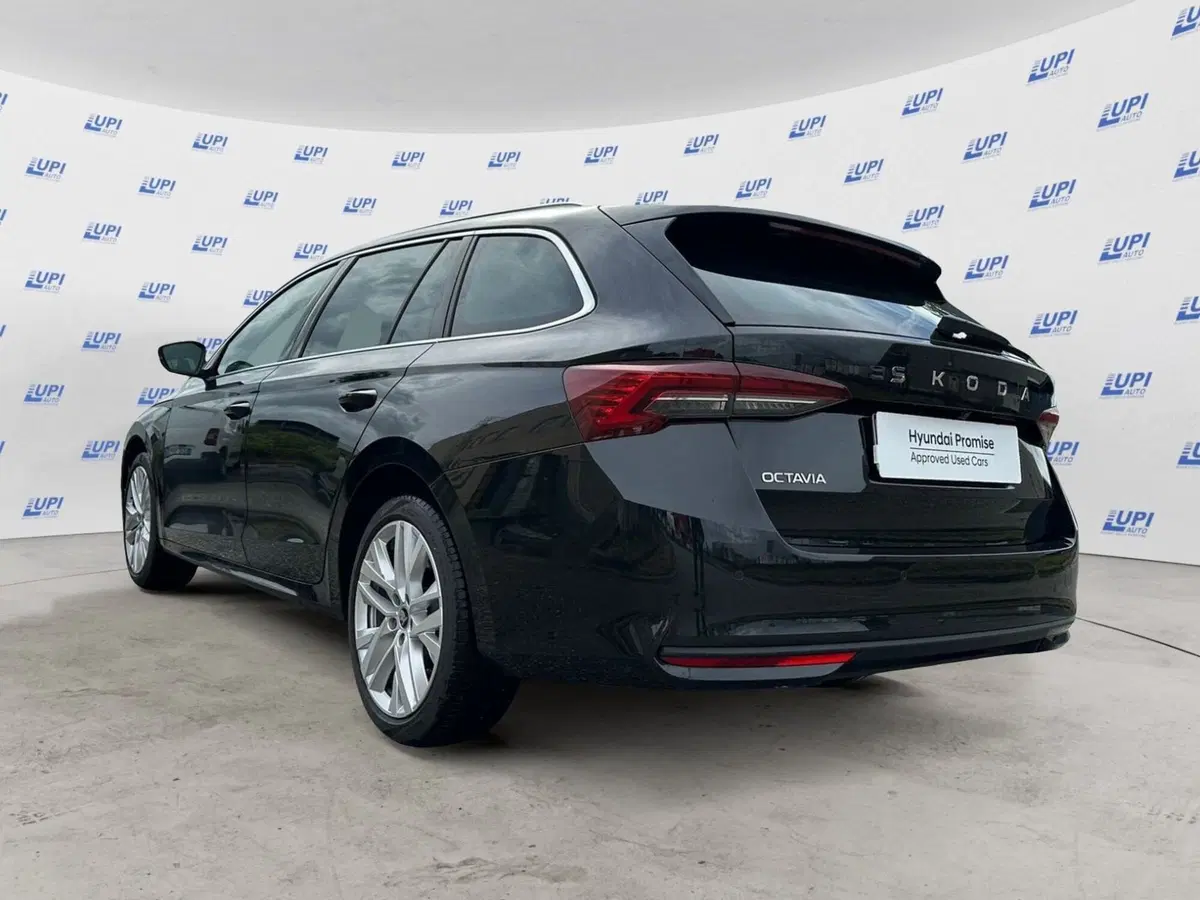 Skoda Octavia Station Wagon usata a Pistoia (5)