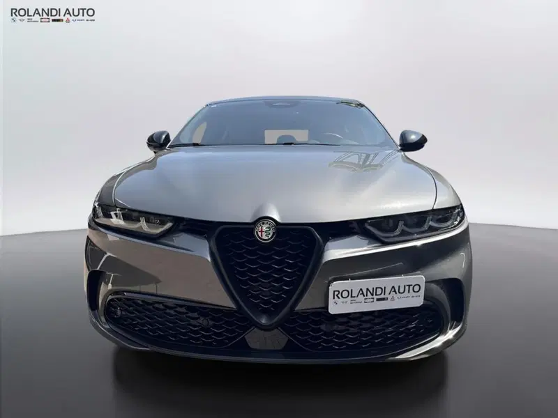 Alfa Romeo Tonale usata a Alessandria (6)
