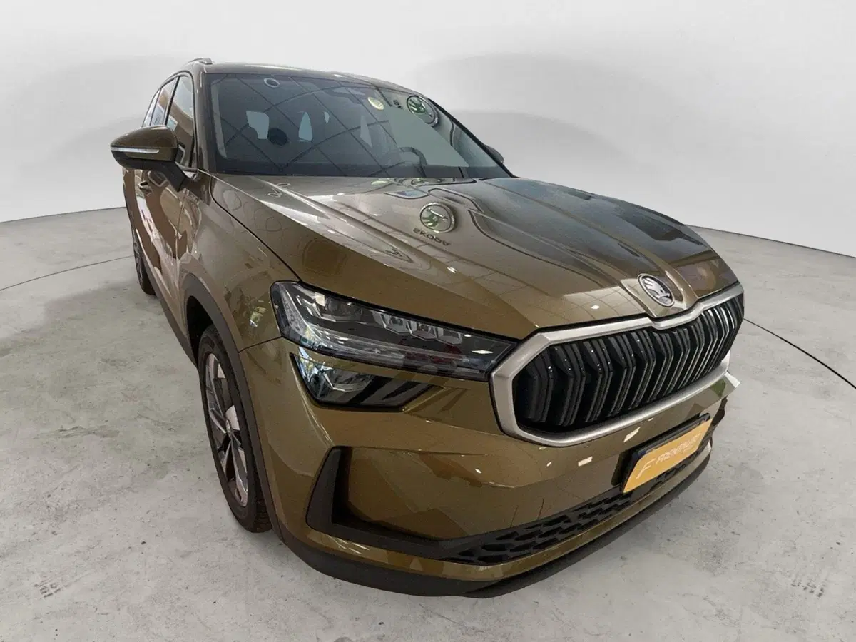 Skoda Kodiaq nuova a Pescara (9)